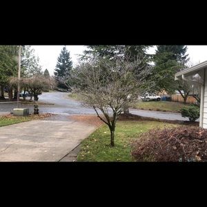 Meet your Posher, Mariela